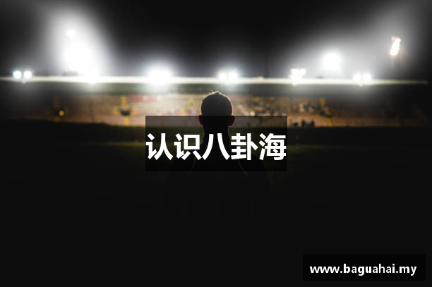 认识八卦海